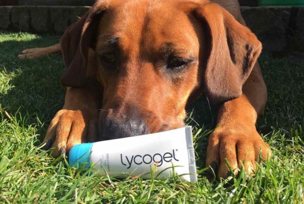 Proefdiervrije cosmetica Jucheim Lycogel